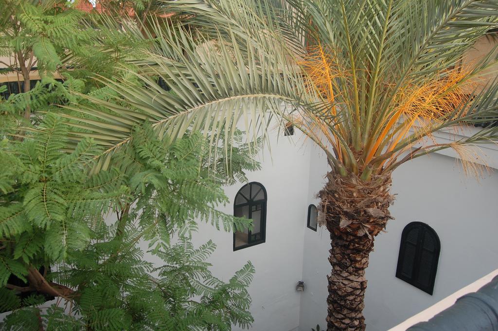 Riad O Ly Marrakesh Ngoại thất bức ảnh